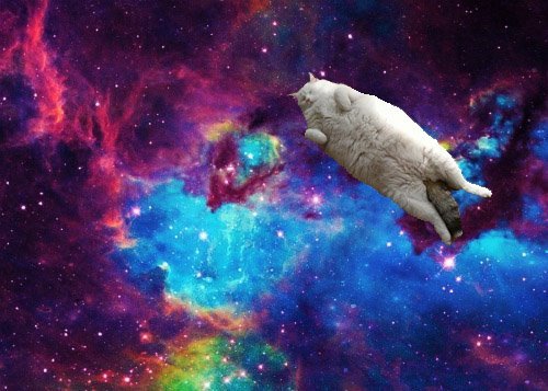spacecat